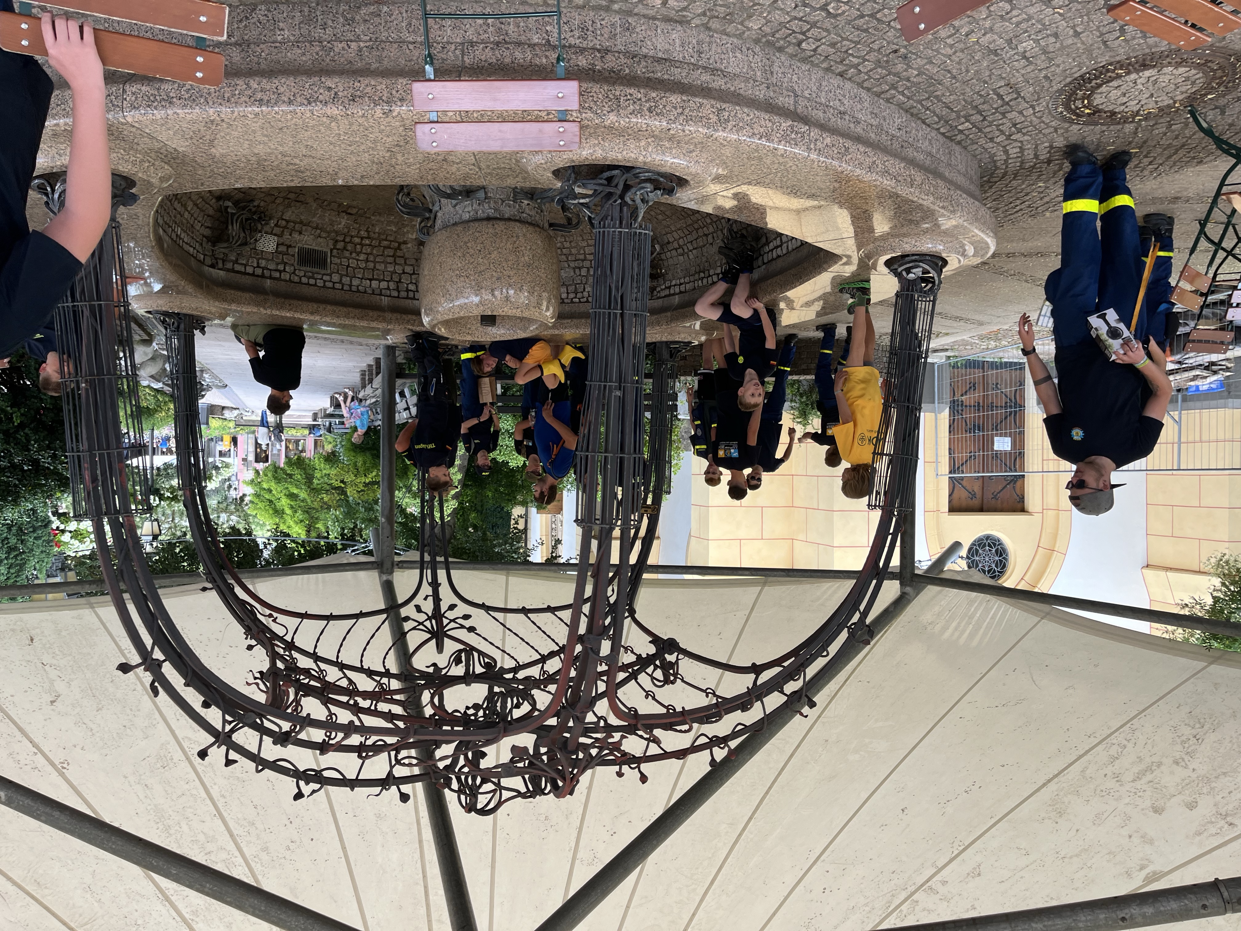 Christbaum sammeln 2025